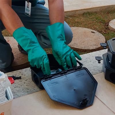 Desratização: Guia Completo e Eficaz