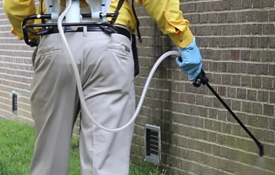 Dedetizar Vila Formosa