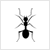 Icon Dedetizadora de Formigas